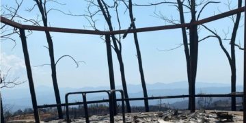 Ηλεία, 12 Αυγούστου 2021 (φωτ.: ΑΠΕ-ΜΠΕ, Γραφείο Τύπου ΣΥΡΙΖΑ/ STR)