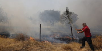 Εθελοντής επιχειρεί στην κατάσβεση της πυρκαγιάς στην Κερατέα, τη Δευτέρα 16 Αυγούστου 2021 (φωτ.: ΑΠΕ-ΜΠΕ/ Αλέξανδρος Βλάχος)