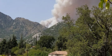 (Φωτ.: Facebook / Νίκος Στέ)