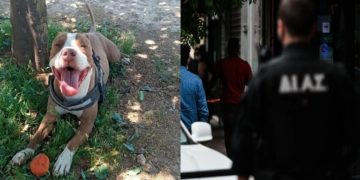 (Φωτ.: Protothema.gr)