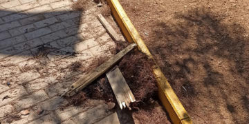 Πευκοβελόνες και ξύλα που χρησιμοποιήθηκαν ως προσάναμμα (φωτ.: Facebook / Barbara Thomaidou)