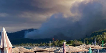 Ψαροπούλι, Βασιλικά αργά το απόγευμα του Σαββάτου (φωτ.: Facebook / Μαρία Αθανασίου)