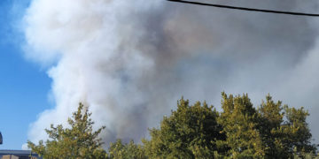 Τατόι (φωτ.: Facebook / Φαίδρα Γκάγκα)