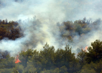 Φωτιά καίει πεύκα,  στο όρος Πατέρας, στην επαρχιακή οδό Οινόης-Πόρτο Γερμενού στη  Μάνδρα, καθώς η φωτιά καίει σε δυσπρόσιτα σημεία, Τρίτη 17 Αυγούστου 2021 (φωτ.: ΑΠΕ-ΜΠΕ/ Αλέξανδρος Μπελτές)