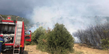 (Πηγή: xronos.gr)