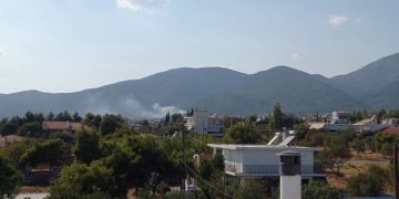 (Φωτ.: Σοφία Λυσιόβα)