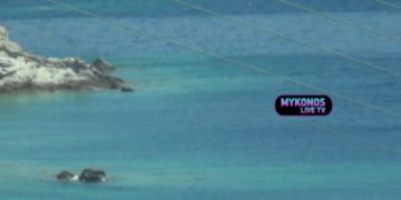 (Φωτ.: Mikonos Live TV)