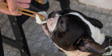 (Φωτ.: ΑΠΕ-ΜΠΕ/ Νίκος Αρβανιτίδης)