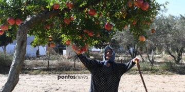 Η γιαγιά Παρέσσα στον μπαχτσέ της στο Λιβαδοχώρι Σερρών (φωτ.: Φίλιππος Φασούλας)