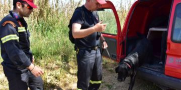 (Φωτ. Αρχείου: ΑΠΕ-ΜΠΕ /Ευάγγελος Μπουγιώτης)