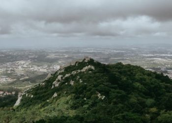 (Φωτ.: Pexels)