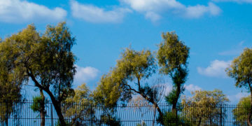 (Φωτ.: EUROKINISSI / Γιώργος Κονταρίνης)