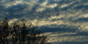 (Φωτ.: pixabay.com/hans)