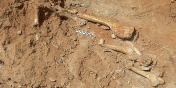 (Φωτ.:  ΑΠΕ/ΜΠΕ)