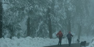 Εικόνα από την Πάρνηθα, στις 16 Δεκεμβρίου. Το χιόνι που έχει σκεπάσει την περιοχή φτάνει σε ύψος τα 30 εκατοστά.
(φωτ.: ΑΝΤΩΝΗΣ ΝΙΚΟΛΟΠΟΥΛΟΣ/EUROKINISSI)