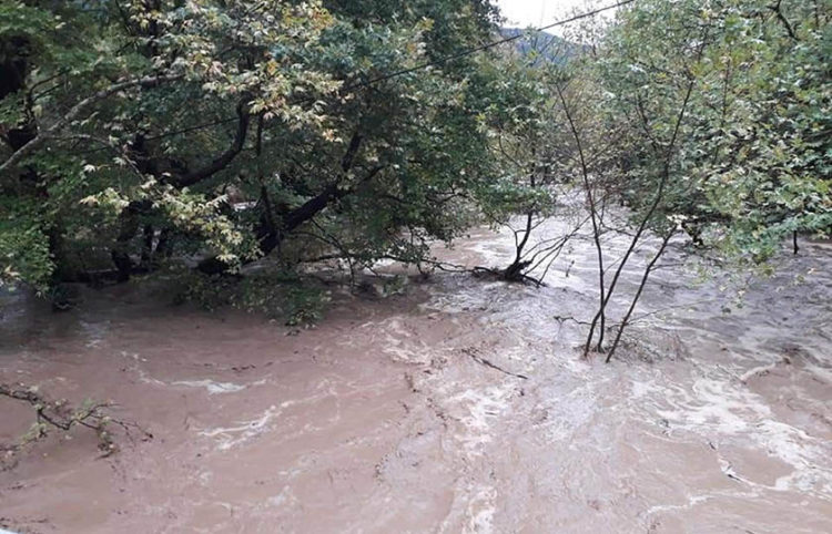 (Πηγή: ΕΡΤ)