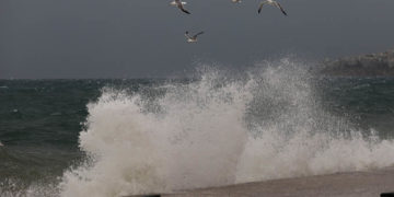 (Φωτ.: EUROKINISSI / Γιάννης Παναγόπουλος)
