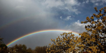 (Φωτ.: EUROKINISSI / Θανάσης Καλλιάρας)
