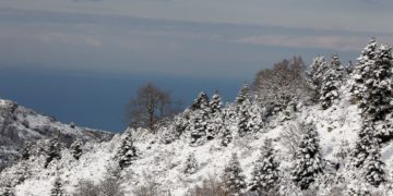 (Φωτ.: EUROKINISSI / Λεωνίδας Τζέκας)