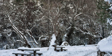 (Φωτ.: ΑΠΕ-ΜΠΕ/ Ψωμάς Βασίλης)