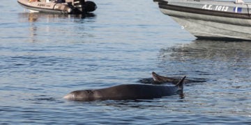 (Φωτ.: EUROKINISSI / Γιάννης Παναγόπουλος)