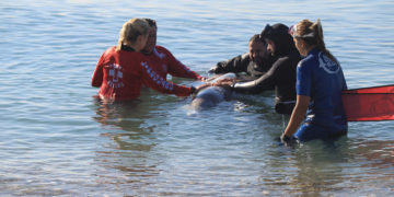 (Φωτ.: ΑΠΕ-ΜΠΕ / Αλέξανδρος Βλάχος)