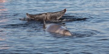 (Φωτ.: EUROKINISSI / Γιάννης Παναγόπουλος)