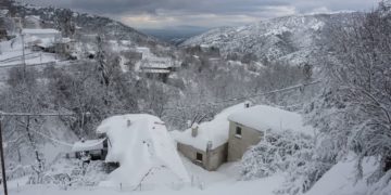 (Φωτ.: Λεωνίδας Τζέκας)