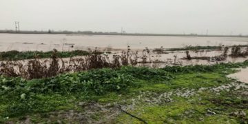 (Φωτ.: Larissanet)