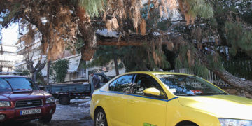 (Φωτ.: EUROKINISSI / Γιάννης Παναγόπουλος)