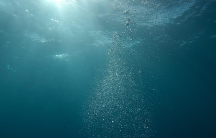 (Φωτ.: Pexels)