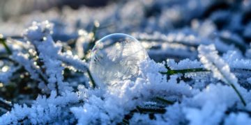 (Φωτ. αρχείου: Pexels)