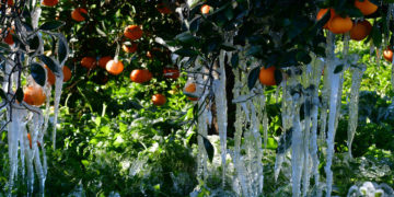 (Φωτ.: ΑΠΕ-ΜΠΕ/ Ευάγγελος Μπουγιώτης)