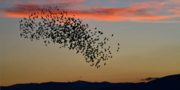 (Φωτ.: ΑΠΕ-ΜΠΕ/ Ευάγγελος Μπουγιώτης)
