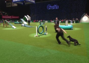 (Πηγή: YouTube/Crufts)