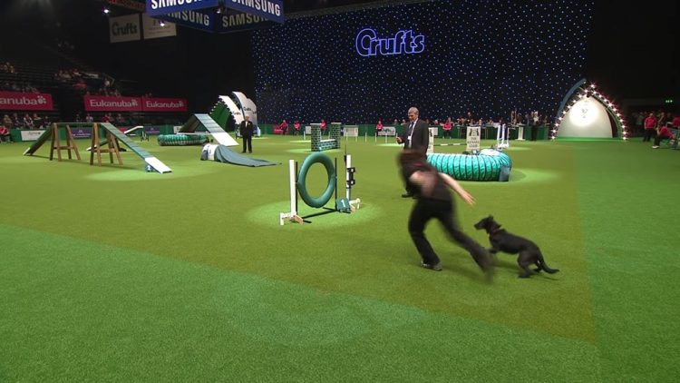 (Πηγή: YouTube/Crufts)