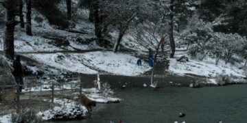 Χιόνια στη λίμνη Μπελέτσι στην Πάρνηθα (φωτ.: EUROKINISSI/Αντώνης Νικολόπουλος)