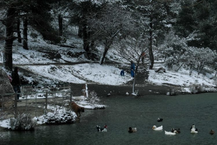 Χιόνια στη λίμνη Μπελέτσι στην Πάρνηθα (φωτ.: EUROKINISSI/Αντώνης Νικολόπουλος)