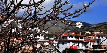 (Φωτ.: EUROKINISSI / Βασίλης Παπαδόπουλος)