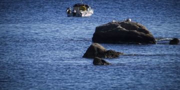 (Φωτ.: EUROKINISSI / Γιώργος Κονταρίνης)