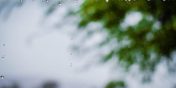 (Φωτ.: Pexels)