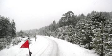 (Φωτ. αρχείου: ΑΠΕ-ΜΠΕ/ Δήμος Γρεβενών/ STR)