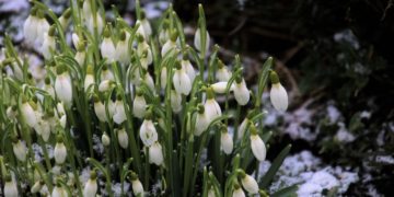 (φωτ.: pixabay.com)