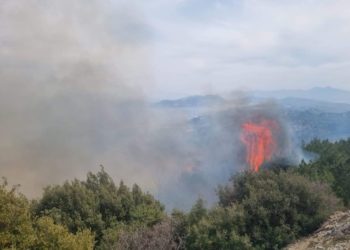 Εστία πυρκαγιάς στη Σάμο (φωτ.: ertnews.gr)