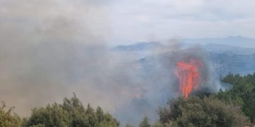 Εστία πυρκαγιάς στη Σάμο (φωτ.: ertnews.gr)