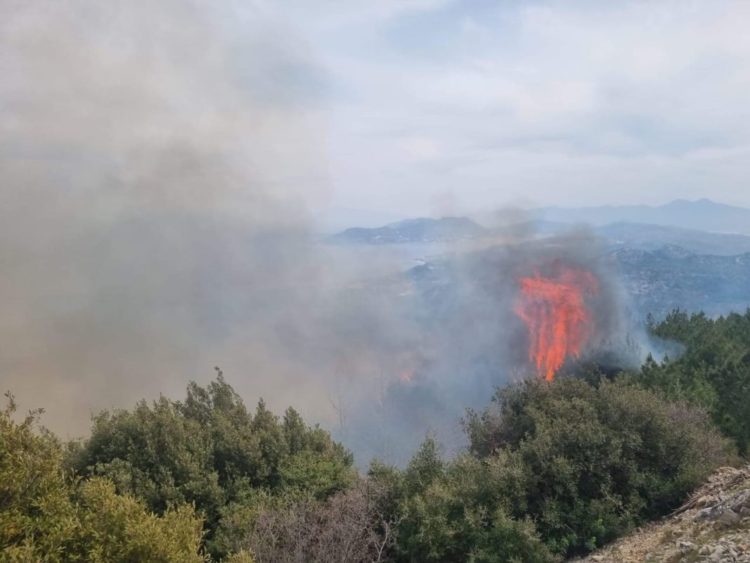 Εστία πυρκαγιάς στη Σάμο (φωτ.: ertnews.gr)