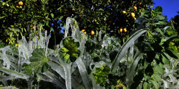 (Φωτ.: EUROKINISSI / Βασίλης Παπαδόπουλος)