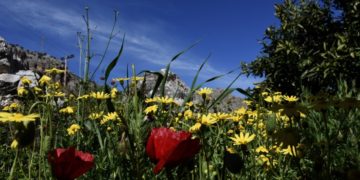 (Φωτ.: EUROKINISSI/Βασίλης Παπαδόπουλος)