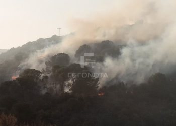 (Πηγή: gegonota.news)