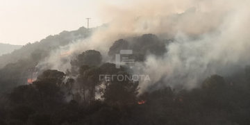 (Πηγή: gegonota.news)